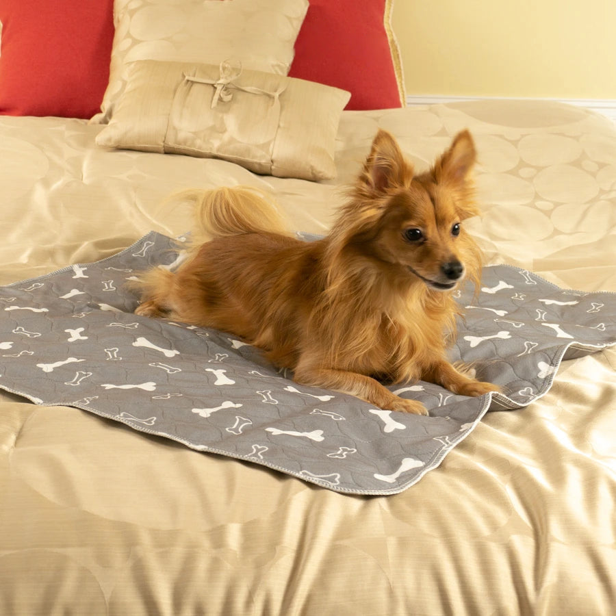 🐶The Pinnacle of Pet Pee Pads! - The Last Pee Pad You'll Get