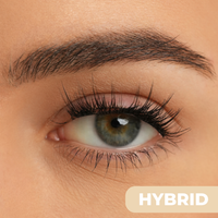 Hybrid